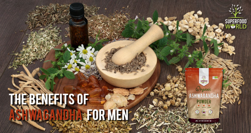 The Benefits of Ashwagandha for Men