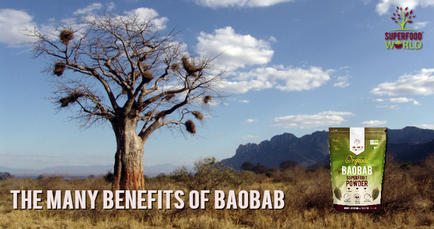 The Many Benefits of Baobab