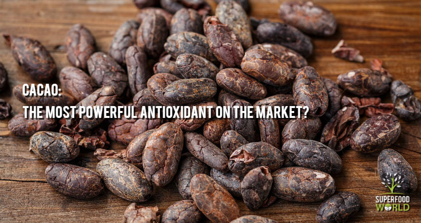 Cacao: The Most Powerful Antioxidant on the Market?