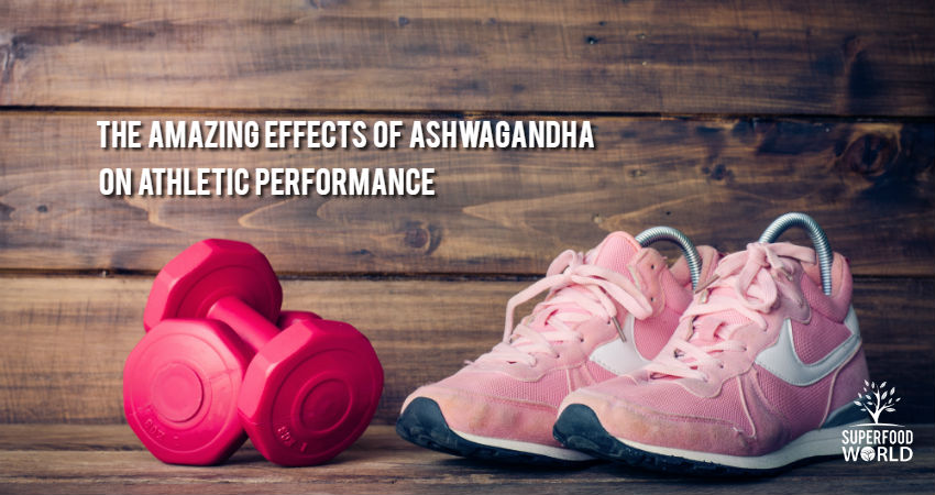 The Amazing Effects of Ashwagandha on Athletic Performance