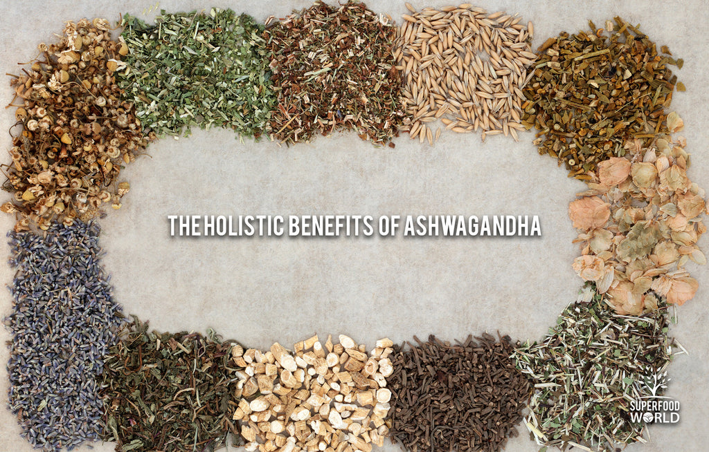 The Holistic Benefits of Ashwagandha