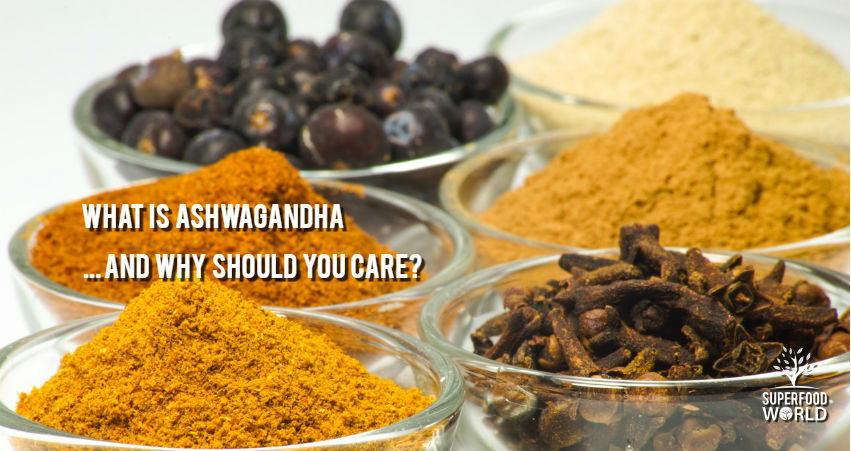 What is Ashwagandha … And Why Should You Care?