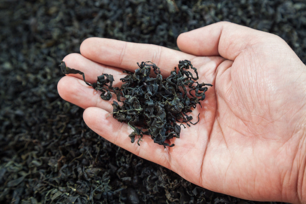 What is Spirulina?