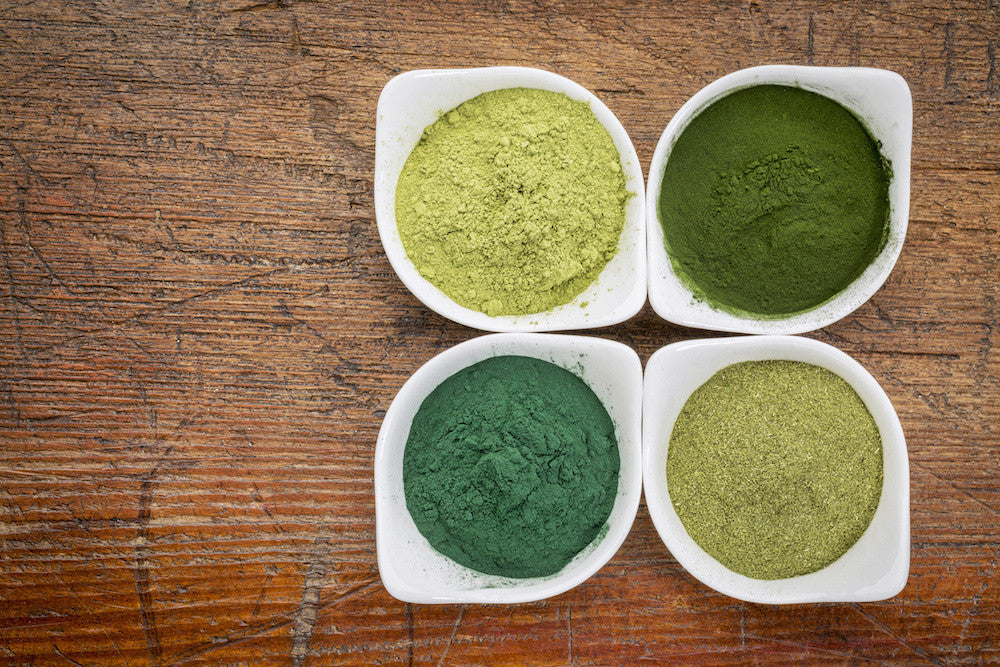How to select the Best Superfood Powder
