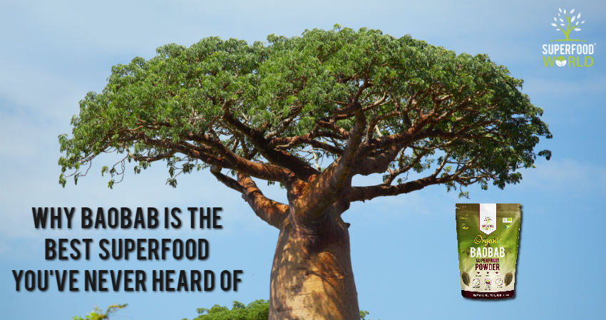 Why Baobab is the Best Superfood You’ve Never Heard Of