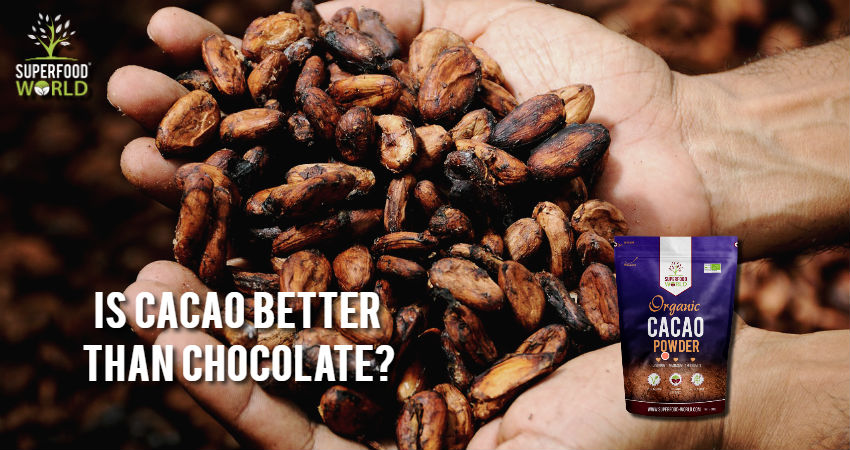 Is Cacao Better than Chocolate?