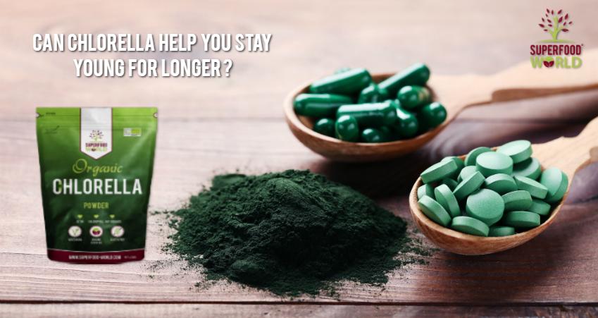 Can Chlorella Assist You Keep Younger for Longer?