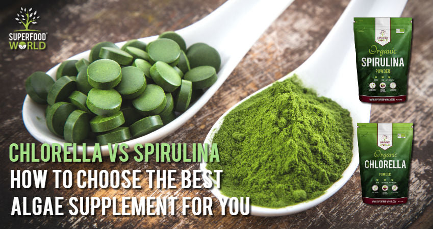 Chlorella vs Spirulina - How to Choose the Best Algae Supplement for You