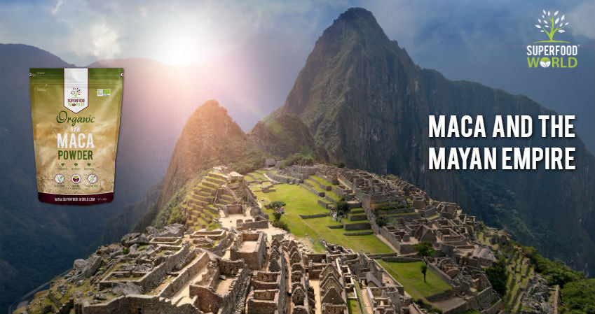 Maca and the Mayan Empire