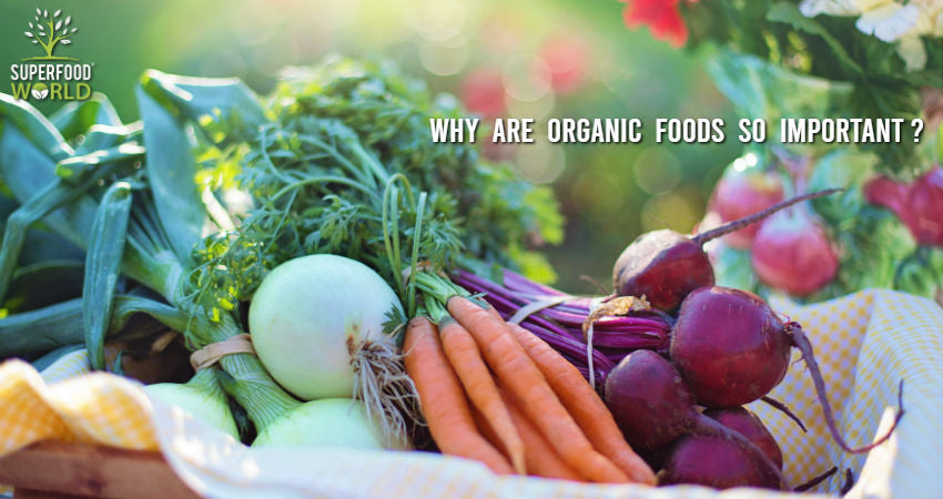 Why Are Organic Foods So Important?