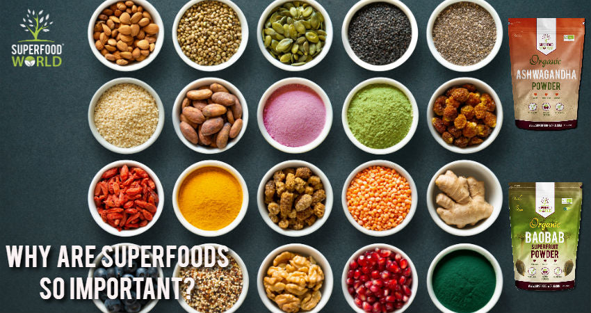 Why Are Superfoods So Vital?