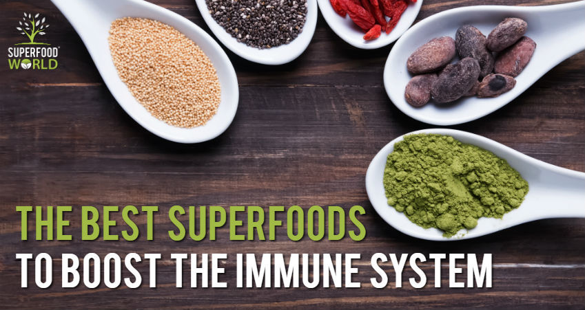 The Best Superfoods to Help Boost Your Immune System