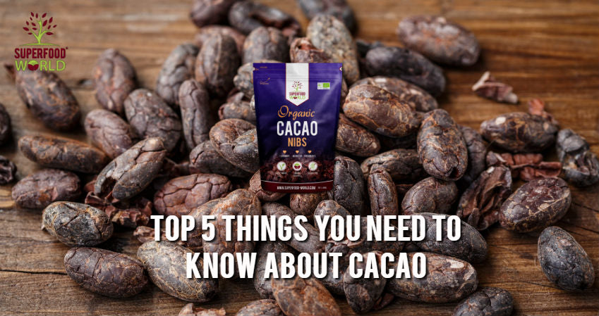 Top 5 Things You Need to Know About Cacao