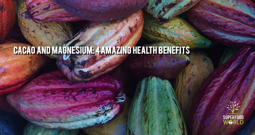 Cacao and Magnesium: 4 Amazing Health Benefits