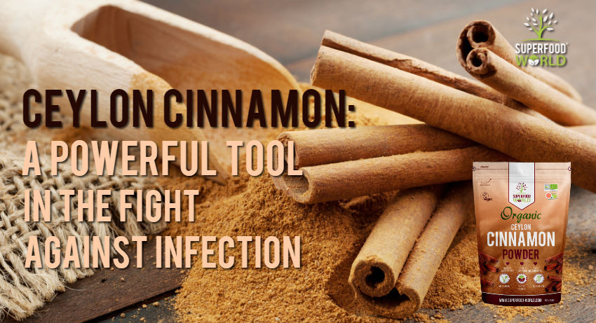 Ceylon Cinnamon: A Powerful Tool to Fight Against Infection
