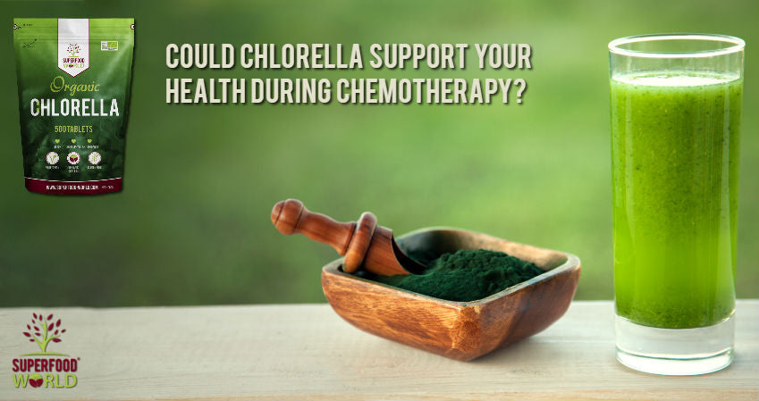 Could Chlorella Support Your Health During Chemotherapy?