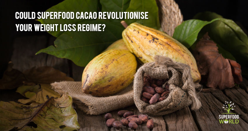 Could Superfood Cacao Revolutionise Your Weight Loss Regime?