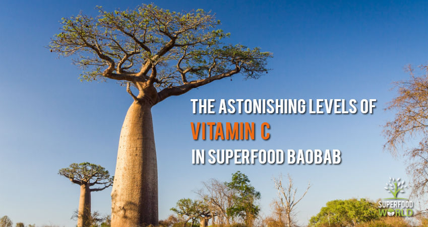 The Astonishing Amount of Vitamin C Found in Superfood Baobab